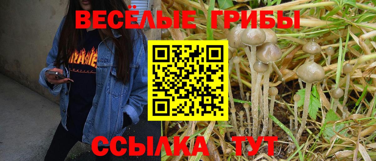 Псилоцибиновые грибы Cubensis  Вход с VPN  Кузнецк 