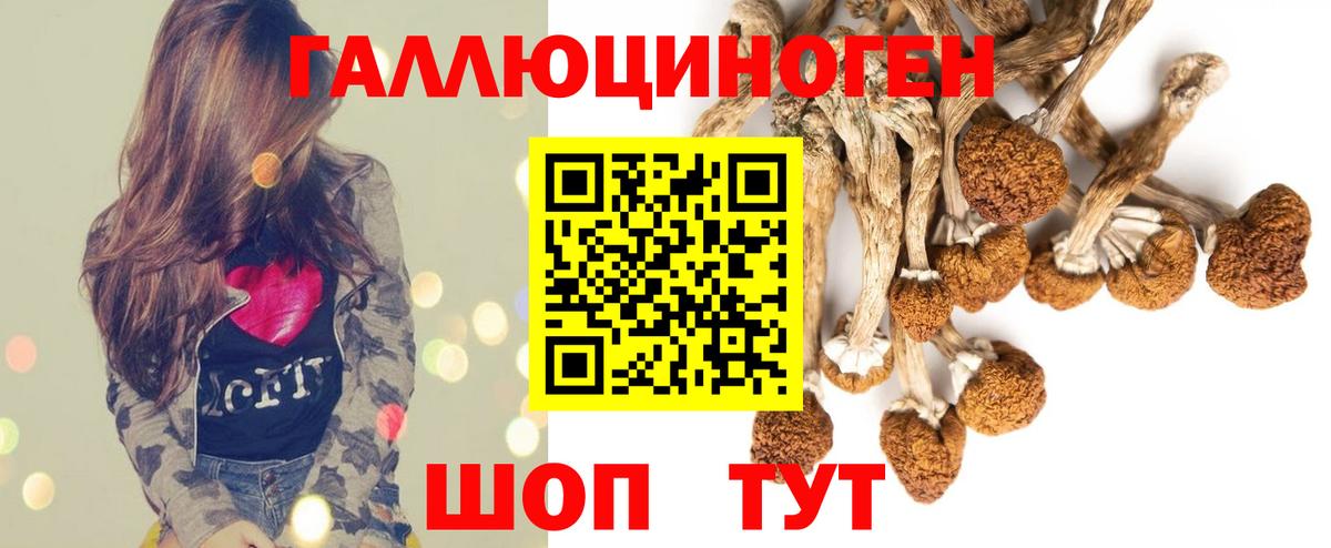 Псилоцибиновые грибы Psilocybine cubensis Кузнецк